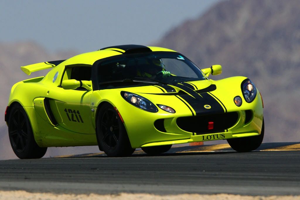 Lotus at Chuckwalla